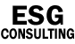 Logo Footer